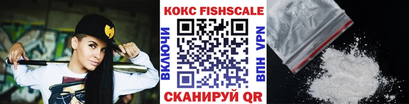 Купить закладки  Циолковский  COCAIN 97% 