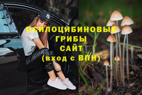 Альфа ПВП Нефтегорск